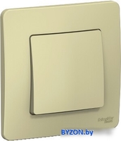Выключатель Schneider Electric Blanca BLNVS010607 - фото