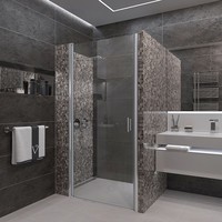 Душевая дверь Veconi VN-43 VN43-70-01-C5 - фото