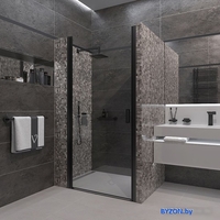 Душевая дверь Veconi VN-43B VN43B-70-01-C5 - фото