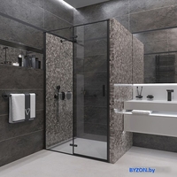 Душевая дверь Veconi VN-73B VN73B-90-01-C4 - фото