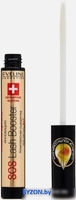 Сыворотка для ламинирования ресниц Eveline Cosmetics Sos Lash Booster комплексная 5 в 1 (10 мл) - фото