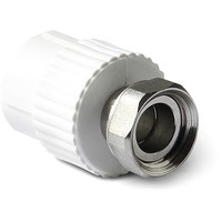 Фитинг Pro Aqua Муфта комбинированная ВР 20x3/4 PA29010G - фото