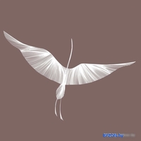 Виниловые обои Citydecor Perfect Lines 11 400x260 - фото2