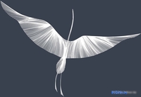 Виниловые обои Citydecor Perfect Lines 8 400x260 - фото2