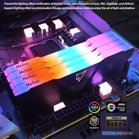 Оперативная память Netac Shadow RGB 2x8ГБ DDR4 2666МГц NTSRD4P26DP-16E - фото2