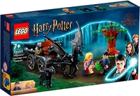 Конструктор LEGO Harry Potter 76400 Карета и фестралы Хогвартса - фото