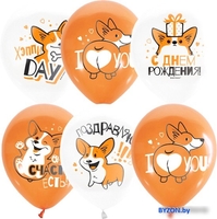 Набор воздушных шаров ПатиБум White&Orange. Корги. С днем рождения М12/30см 4690296072292 (25 шт) - фото