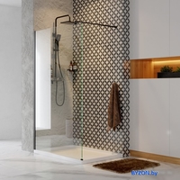 Душевая стенка Wasserkraft Abens 20W39 - фото