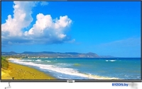 Polar P55U53T2CSM - фото