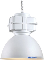 Подвесная люстра Lussole Loft GRLSP-9827 - фото