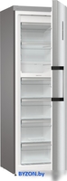 Морозильник Gorenje FN619EAXL6 - фото2