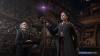 Hogwarts Legacy для PlayStation 5 - фото2