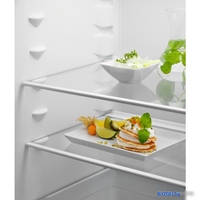 Однокамерный холодильник Electrolux LRB2AE88S - фото2