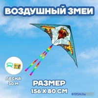 Воздушный змей Funny Toys Орёл 1675695 - фото