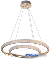 Подвесная люстра Aitin Pro S2128/2 - фото