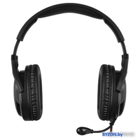Наушники SVEN AP-U910MV - фото2, картинка2 Наушники SVEN AP-U910MV - фото2