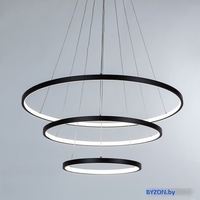 Подвесная люстра Arte Lamp Frodo A2197SP-3BK - фото2