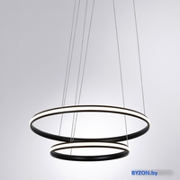 Подвесная люстра Arte Lamp Meridiana A2198SP-2BK - фото2