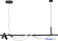 Подвесная люстра Odeon Light Corda 4391/30L - фото