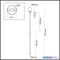 Подвесная люстра Odeon Light Anta 4393/14L - фото2