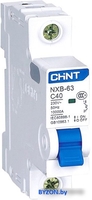 Выключатель автоматический Chint NXB-63 2P 16A 6кА C 814092 - фото