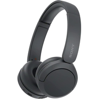 Наушники Sony WH-CH520 (черный) - фото