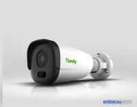 IP-камера Tiandy TC-C32GS I5/E/Y/C/SD/4mm/V4.2 - фото2