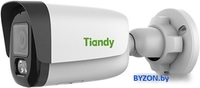 IP-камера Tiandy TC-C34WS I5W/E/Y/2.8mm/V4.2 - фото