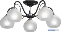 Припотолочная люстра Vitaluce 3948 V3948-1/5PL - фото