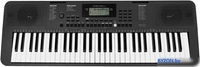 Синтезатор Medeli MK100 - фото