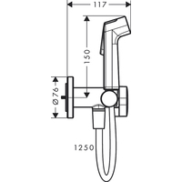 Гигиенический душ Hansgrohe Bidette 1jet S 29232700 - фото2