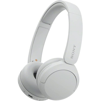 Наушники Sony WH-CH520 (белый) - фото