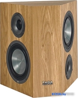 Настенная акустика Taga Harmony Platinum S-100 v.4 (дуб) - фото