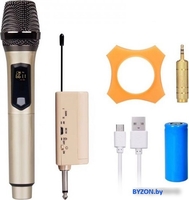 Радиосистема Biema U-801 - фото