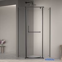 Душевой уголок RGW PA-081 35088122-14 - фото
