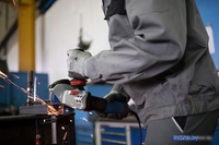Перфоратор Bosch GBH 187-LI Professional 0611923022 (с 1-им АКБ, кейс) - фото2
