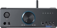 Настольный усилитель FiiO K9 - фото