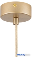 Подвесная люстра Lightstar Dumo 816313 - фото2