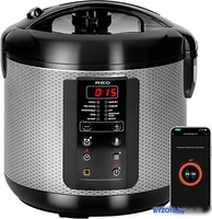Мультиварка RED Solution SkyCooker RMC-M225S - фото