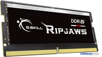 Оперативная память G.Skill Ripjaws 32ГБ DDR5 SODIMM 4800МГц F5-4800S3838A32GX1-RS - фото2