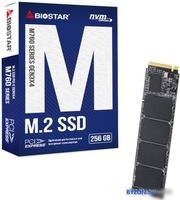 SSD BIOSTAR M760 256GB M760-256GB - фото