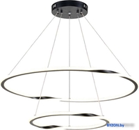 Подвесная люстра Arte Lamp Veritate A2211SP-2BK - фото