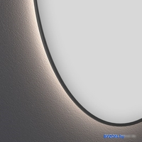 Wellsee Зеркало с фоновой LED-подсветкой 7 Rays' Spectrum 172201900, 100 x 50 см (с сенсором и регулировкой яркости освещения) - фото2