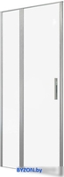 Душевая дверь Allen Brau Priority 3.31026.BA 294055 (серебро браш) - фото