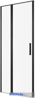 Душевая дверь Allen Brau Priority 3.31027.BBA 294056 (черный браш) - фото