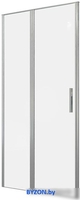 Душевая дверь Allen Brau Priority 3.31029.BA 294058 (серебро браш) - фото