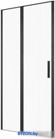 Душевая дверь Allen Brau Priority 3.31033.BBA 294062 (черный браш) - фото