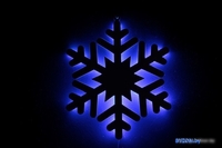 2D-фигура Flesi FCB(L)-BACK-SNOW-0003-3.5V-B - фото