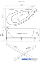 Ванна Triton Изабель 170x100 R Базовая Flat (с гидромассажем) - фото2