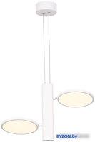 Подвесная люстра Lussole Aberdeen LSP-7085 - фото2